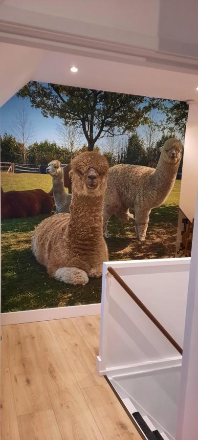 B&B De Raamberg Zundert Dış mekan fotoğraf