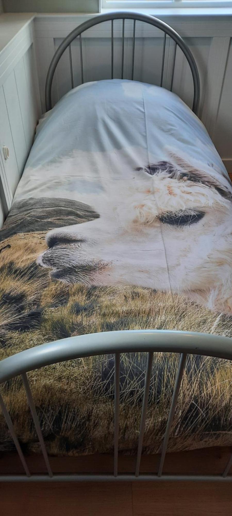 B&B De Raamberg Zundert Oda fotoğraf