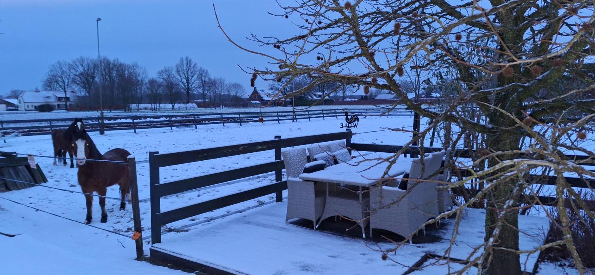 B&B De Raamberg Zundert Dış mekan fotoğraf