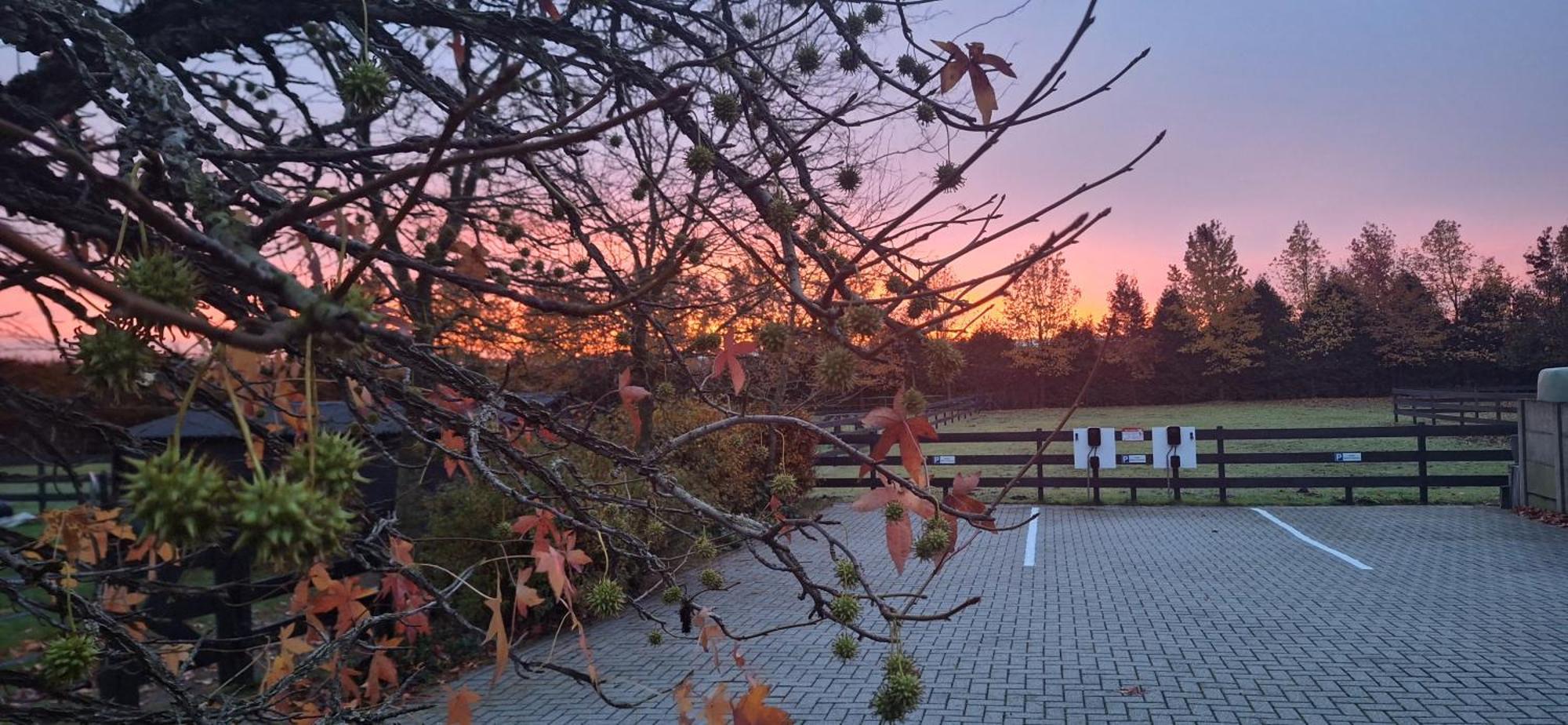 B&B De Raamberg Zundert Dış mekan fotoğraf