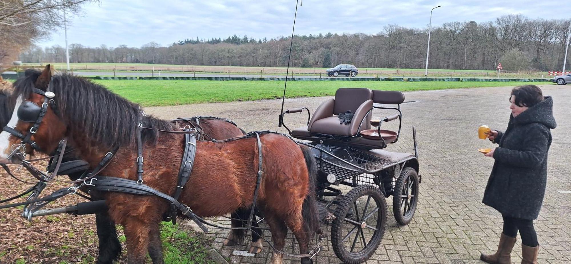 B&B De Raamberg Zundert Dış mekan fotoğraf